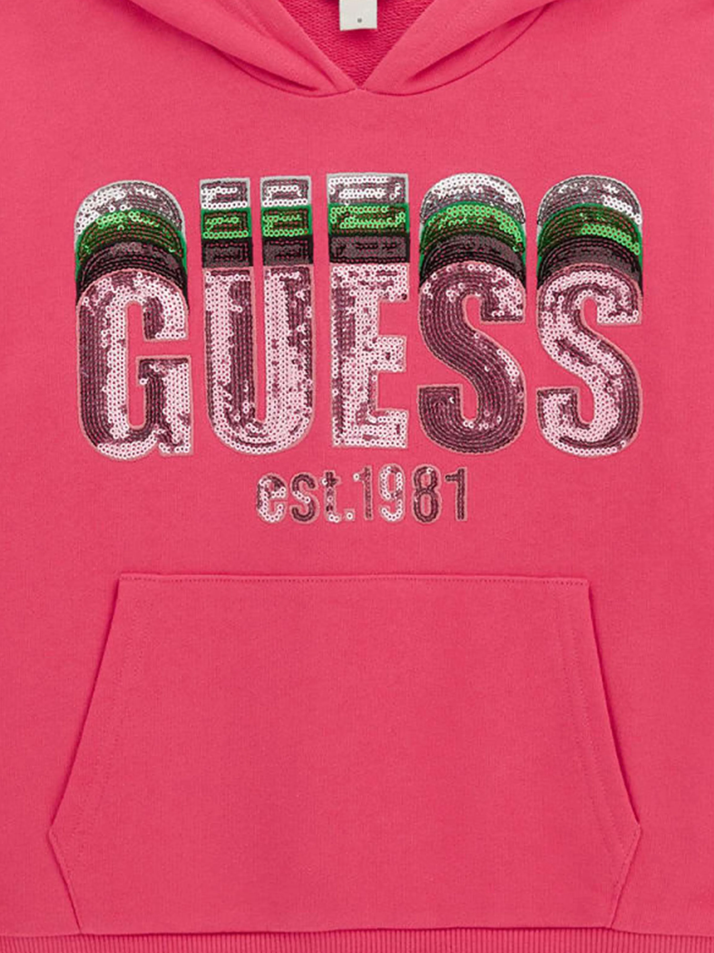 Girls Logo Hoodie in Pink