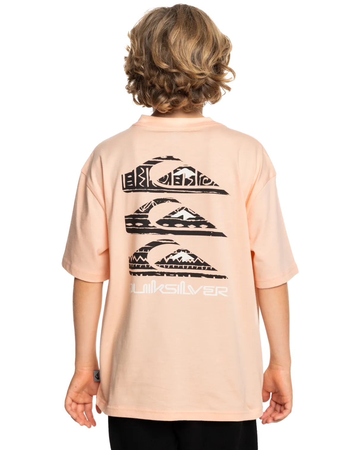 Quiksilver Clothing Boys Vertical Logos T-Shirt in Peach Parfait